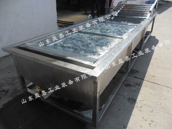 連續(xù)式蘑菇鼓泡清洗機(jī)，支持加工定制